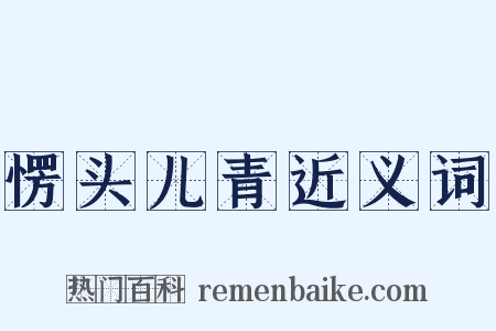 愣头儿青近义词是什么意思的图片